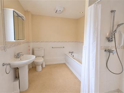 Picture 8